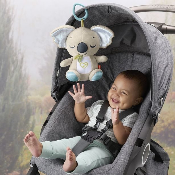 FP UKLIDŇUJÍCÍ KOALA NA CESTY