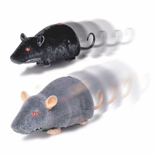 Krysa na ovládání