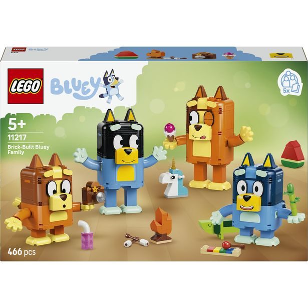 Bluey a její rodinka z kostek