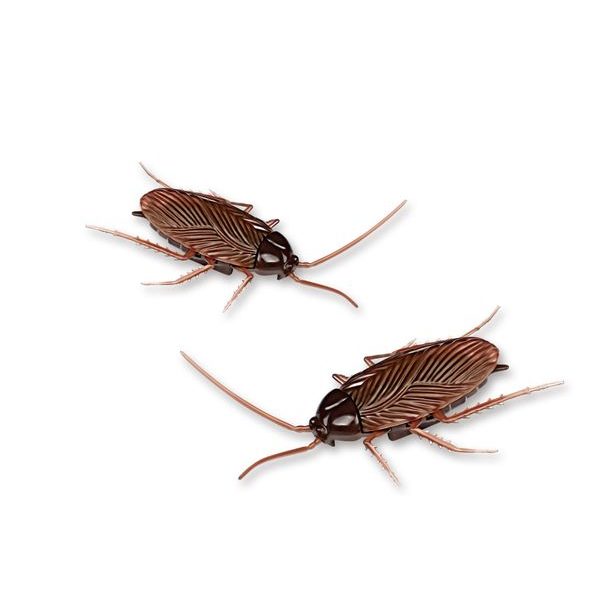 MAGANA Vibrující šváb