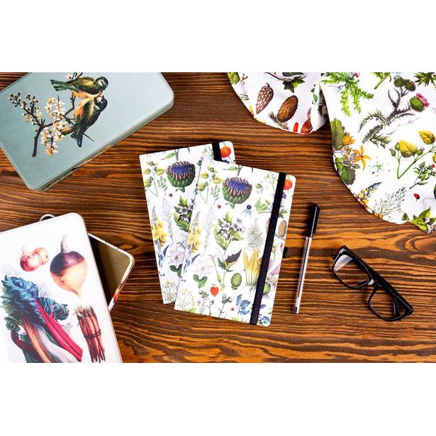 Notes Bylinky Kateřiny Winterové, linkovaný, 13 × 21 cm Baagl