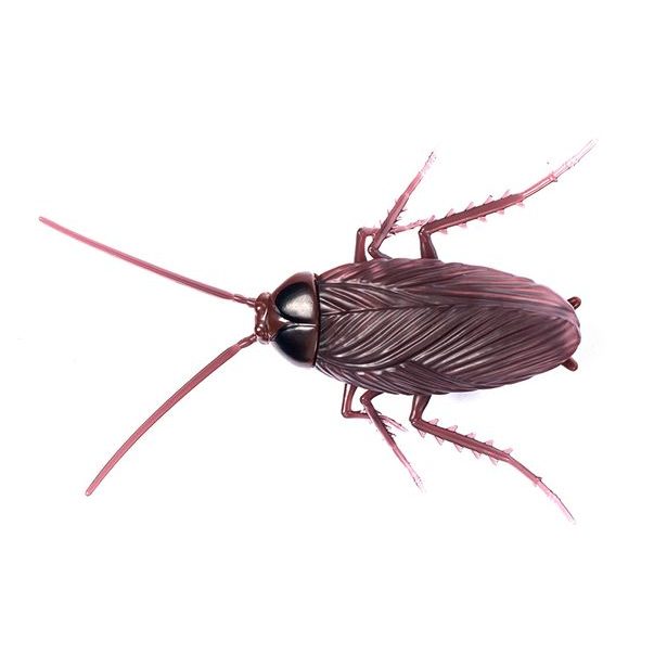 MAGANA Vibrující šváb