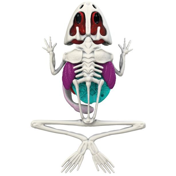 Objevuj Pitva Žáby