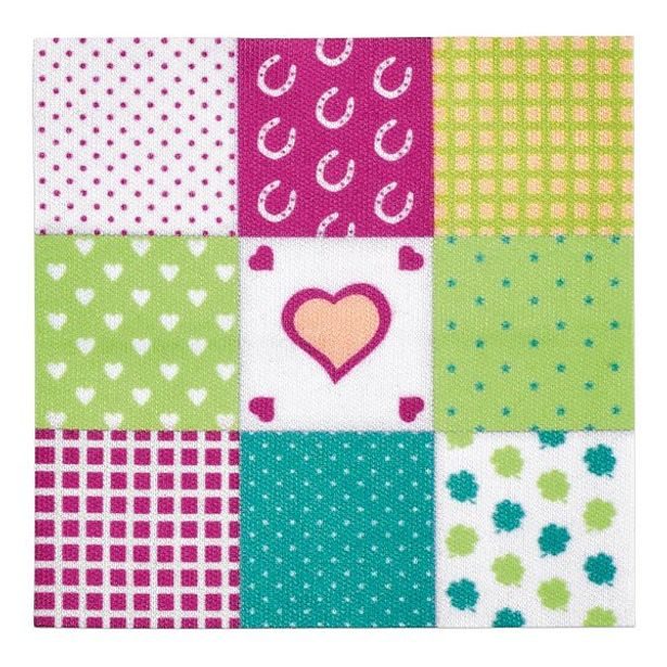 Kočár pro koňskou show