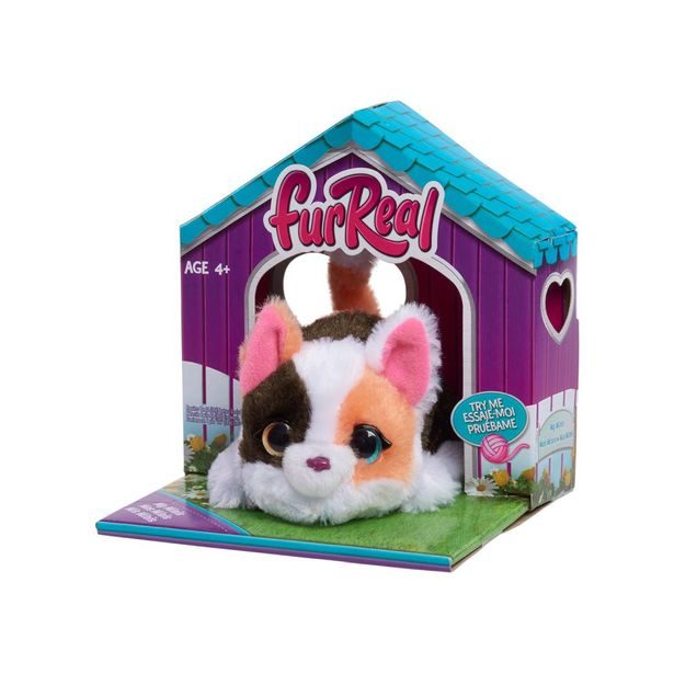 FUR REAL MY MINI'S KOTĚ