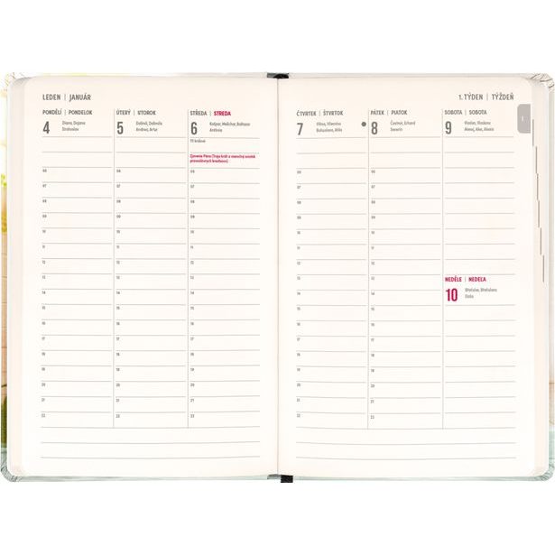 NOTIQUE 18měsíční diář Petito – Kapybara 2026/2027, 11 x 16 cm