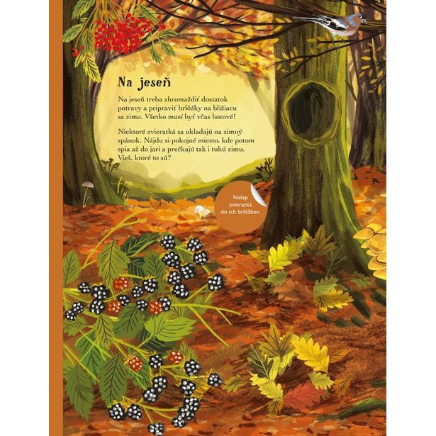 SVET JEŽKOV, UŠIAKOV a ďalších chlpáčov – Kniha samolepiek