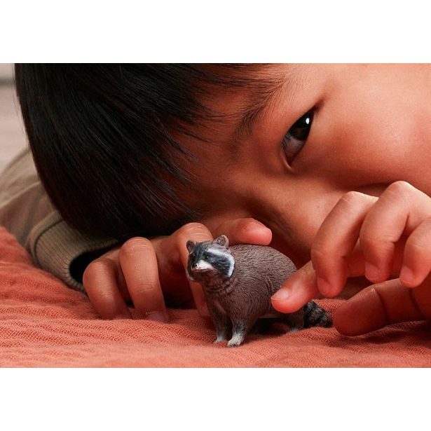 SCHLEICH Zvířátko - mýval