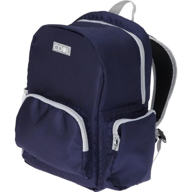 PROGARDEN Chladící batoh na jídlo i pití 18 l černá KO-DB9501080tmmo