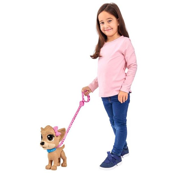 CCL Pejsek čivava Pii Pii