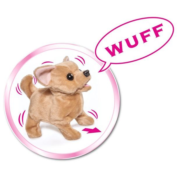 CCL Čivava štěňátko