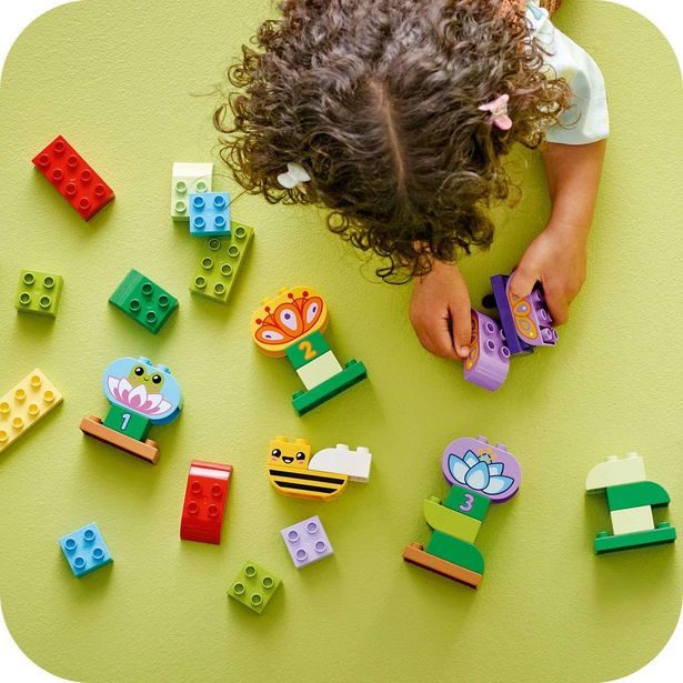 Kreativní zahrada a květiny