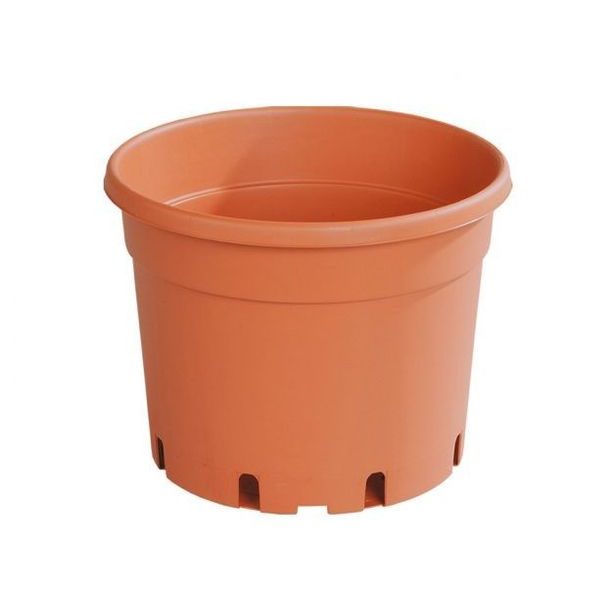 květ. d15cm CLASSIC MCI /dez.+EAN/1,5l TER