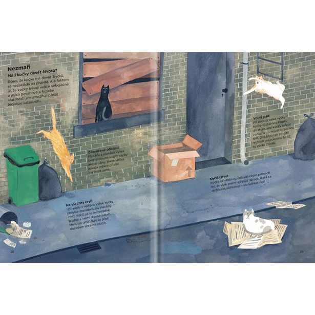 PROČ KOČKY ŠPLHAJÍ PO ZÁCLONÁCH? – Vše o kočkách Baagl