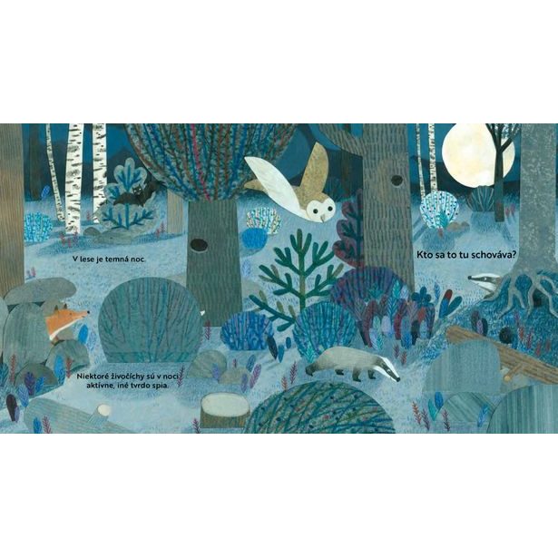 Kto sa to tu schováva? V LESE – Knižka s odklápacími okienkami Baagl