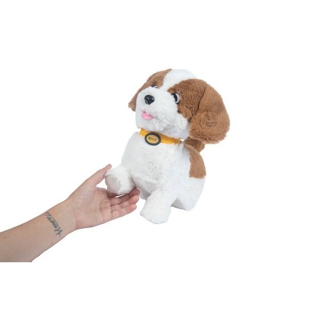 STEPPOS Max - Tvůj nejlepší kamarád