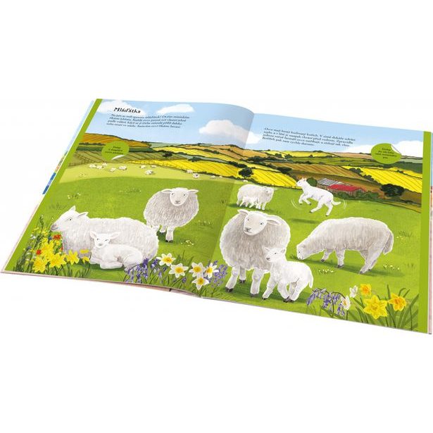 KONĚ, SLEPICE a další zvířátka z farmy – Kniha samolepek Baagl