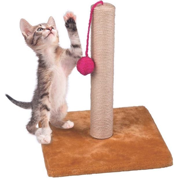 PET COMFORT Škrábadlo pro kočky s hračkou 30 cm ED-298990