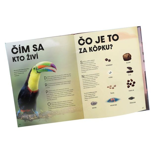 Veľký obrazový sprievodca ZVIERATÁ