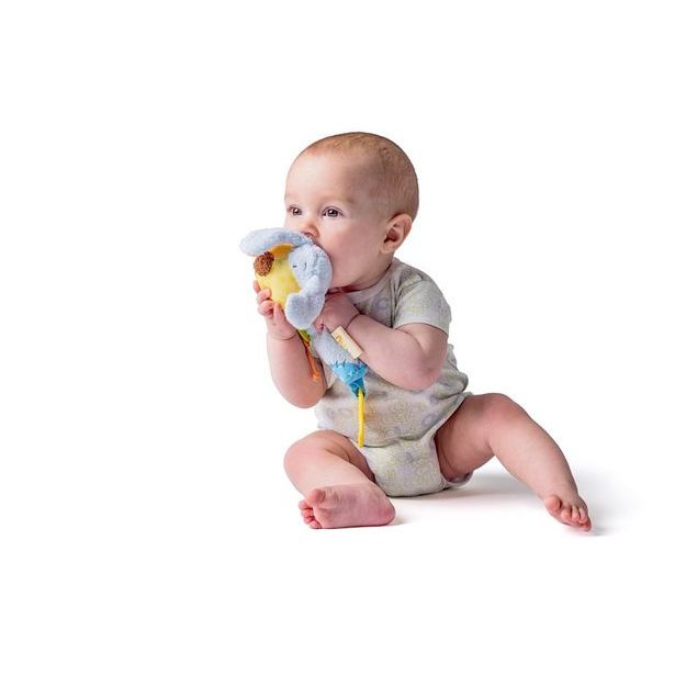 Chrastítko pejsek "IPO"