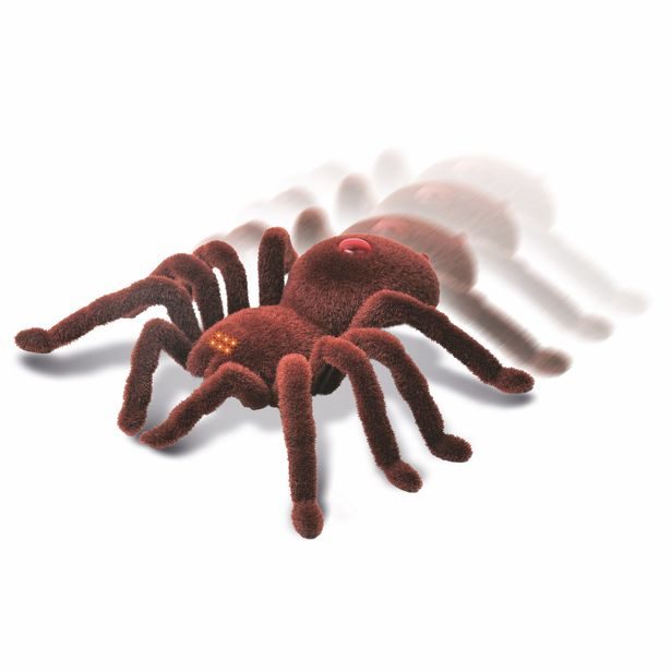 Pavouk na ovládání