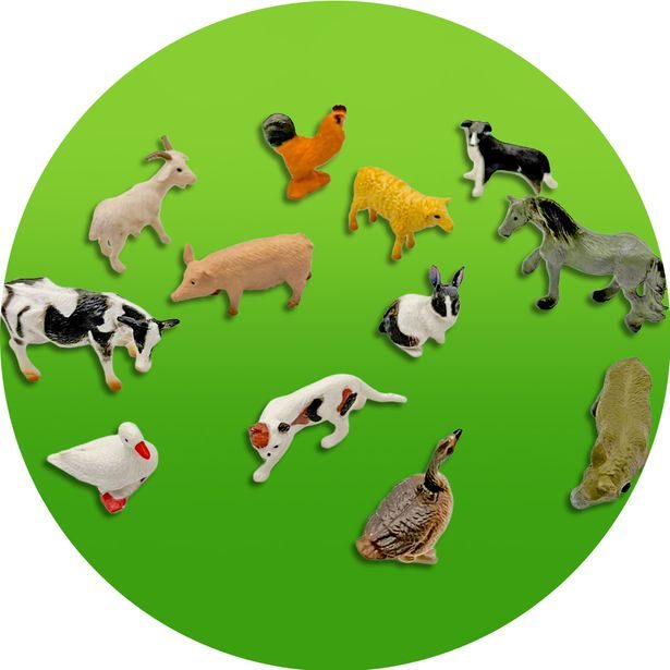 PLEJO Domácí zvířátka s projektorem