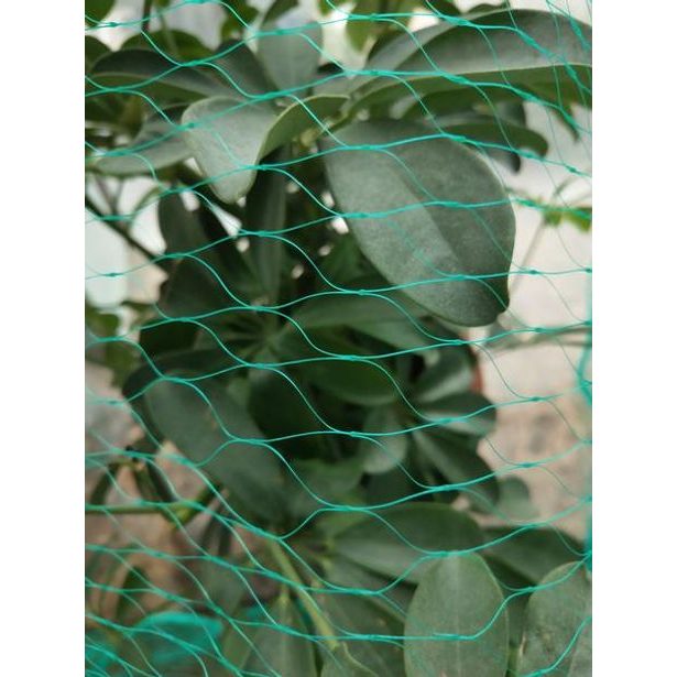 TORO SÍŤ PROTI PTÁKŮM 4X10M, OČKA 2X2CM, POLYETHYLEN_hamashop