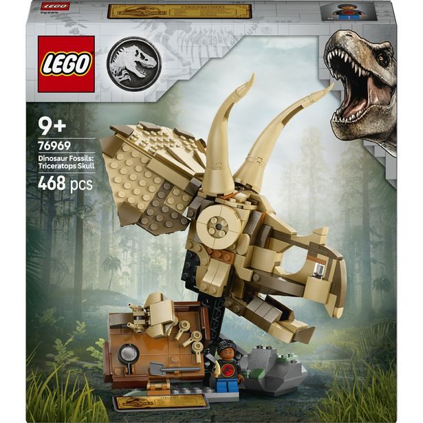Dinosauří fosilie: Lebka triceratopse