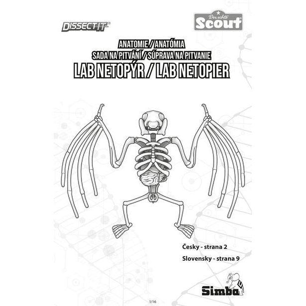 Objevuj Pitva Netopýra