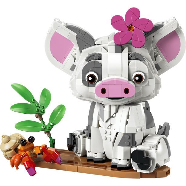 Pua