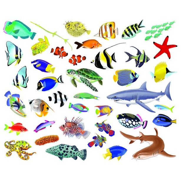 Čítaj a nalepuj – POD HLADINOU, kniha se samolepkami