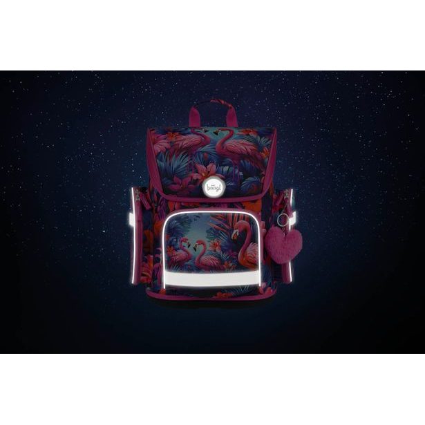 BAAGL Školní aktovka Ergo Plameňáci