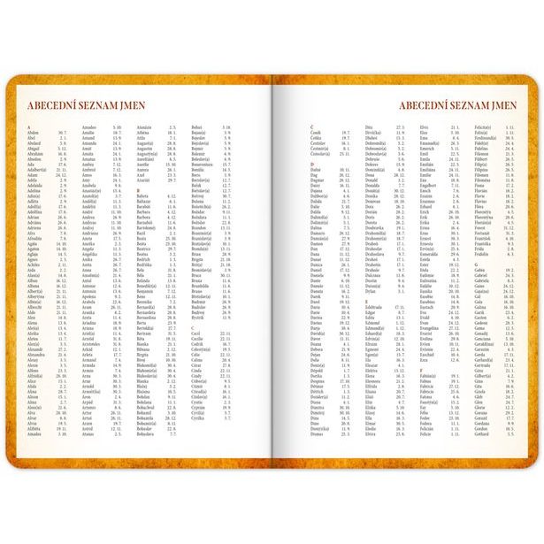 NOTIQUE Studentský diář Harry Potter – Bradavice (září 2025 – prosinec 2026), 9,8 x 14,5 cm