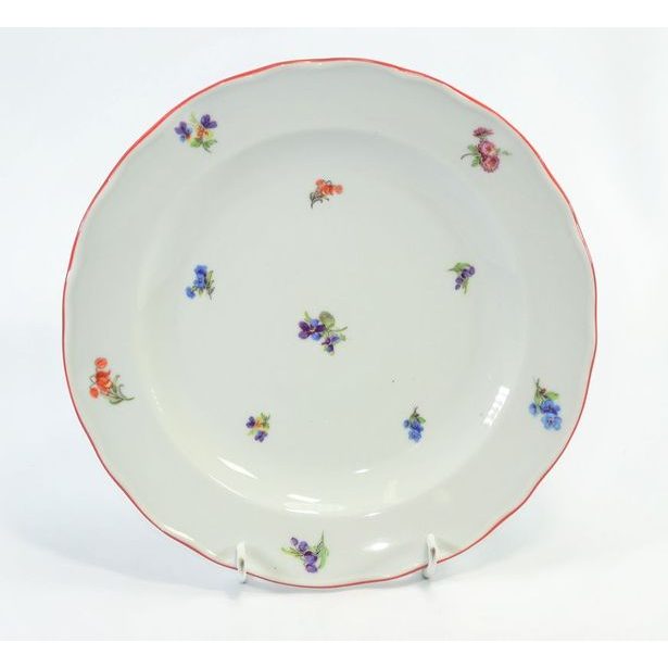 talíř d24cm mělký RAK. HÁZENKA, čes.porcelán