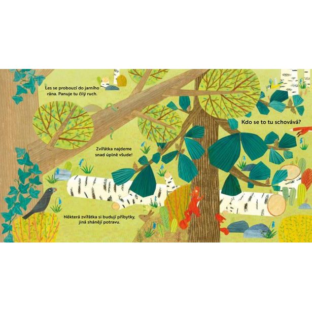 Kdo se to tu schovává? V LESE – Knížka s odklápěcími okénky Baagl