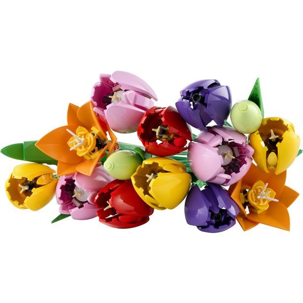 Kytice tulipánů