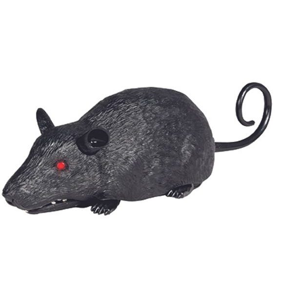 WILDROID - Krysa R/C, krabice