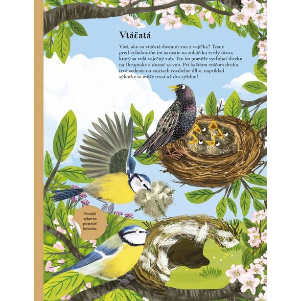 SVET SÝKORIEK, VRABCOV a ďalších spevavcov – Kniha samolepiek Baagl