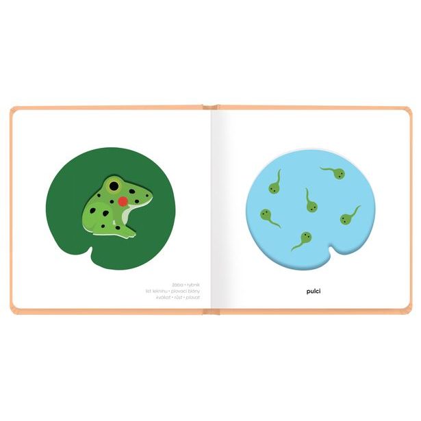 MOJE MLÁĎÁTKA – Klap klap obrázky