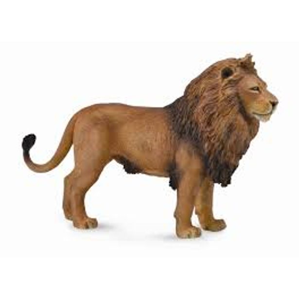 Africký lev