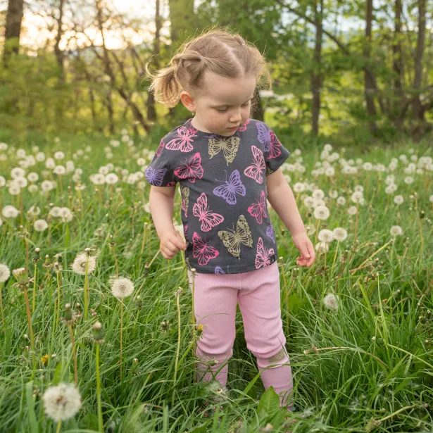 ESITO Tričko s krátkým rukávem Butterfly - šedá
