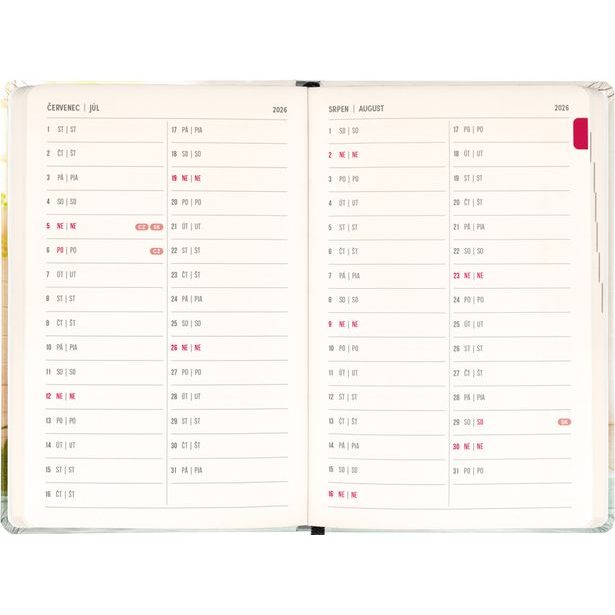 NOTIQUE 18měsíční diář Petito – Kapybara 2026/2027, 11 x 16 cm