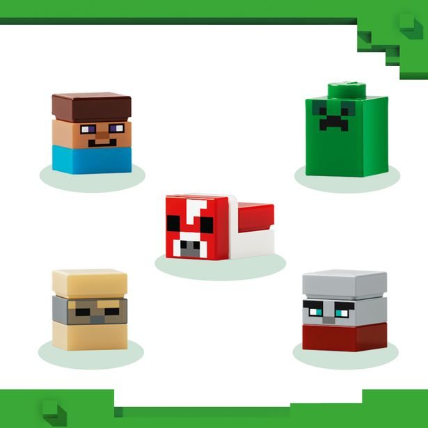 Mini biomy