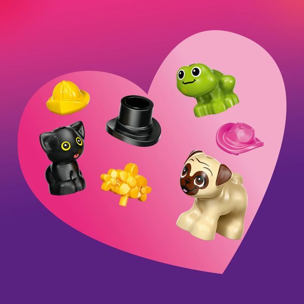 Dodávka s doplňky pro mazlíčky