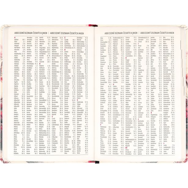 NOTIQUE 18měsíční diář Petito – Japonsko 2026/2027, 11 x 16 cm