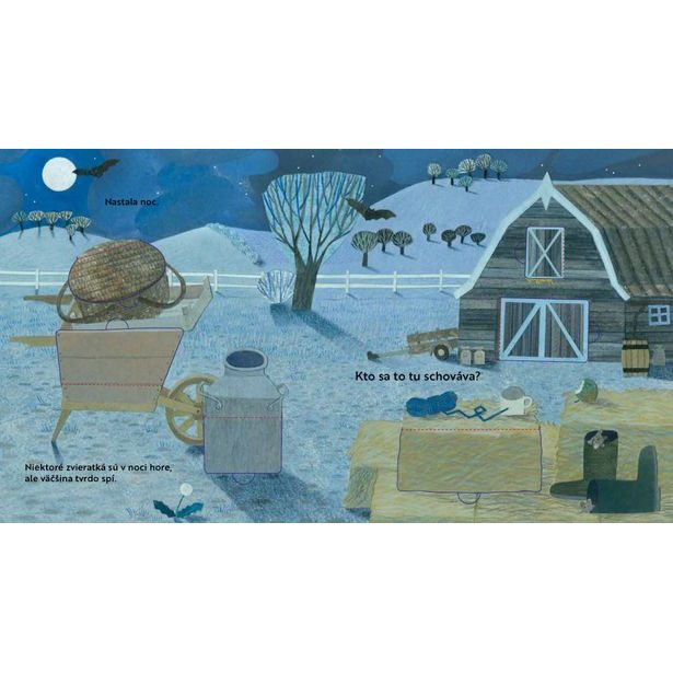 Kto sa to tu schováva? NA DVORE – Knižka s odklápacími okienkami Baagl
