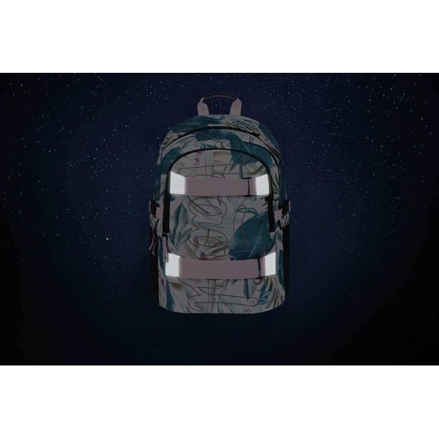 BAAGL Školní batoh Skate Leafs