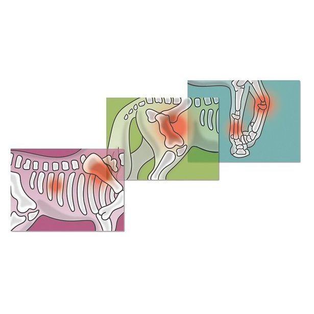 SCHLEICH Mobilní veterinář s přívěsem