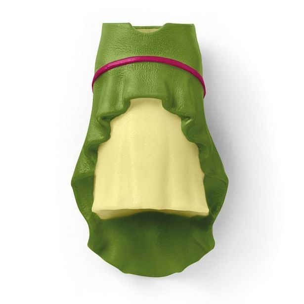 Velká koňská show