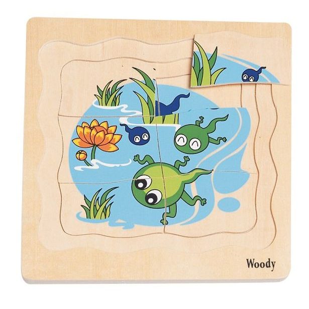 Puzzle na desce "Vývoj žáby"